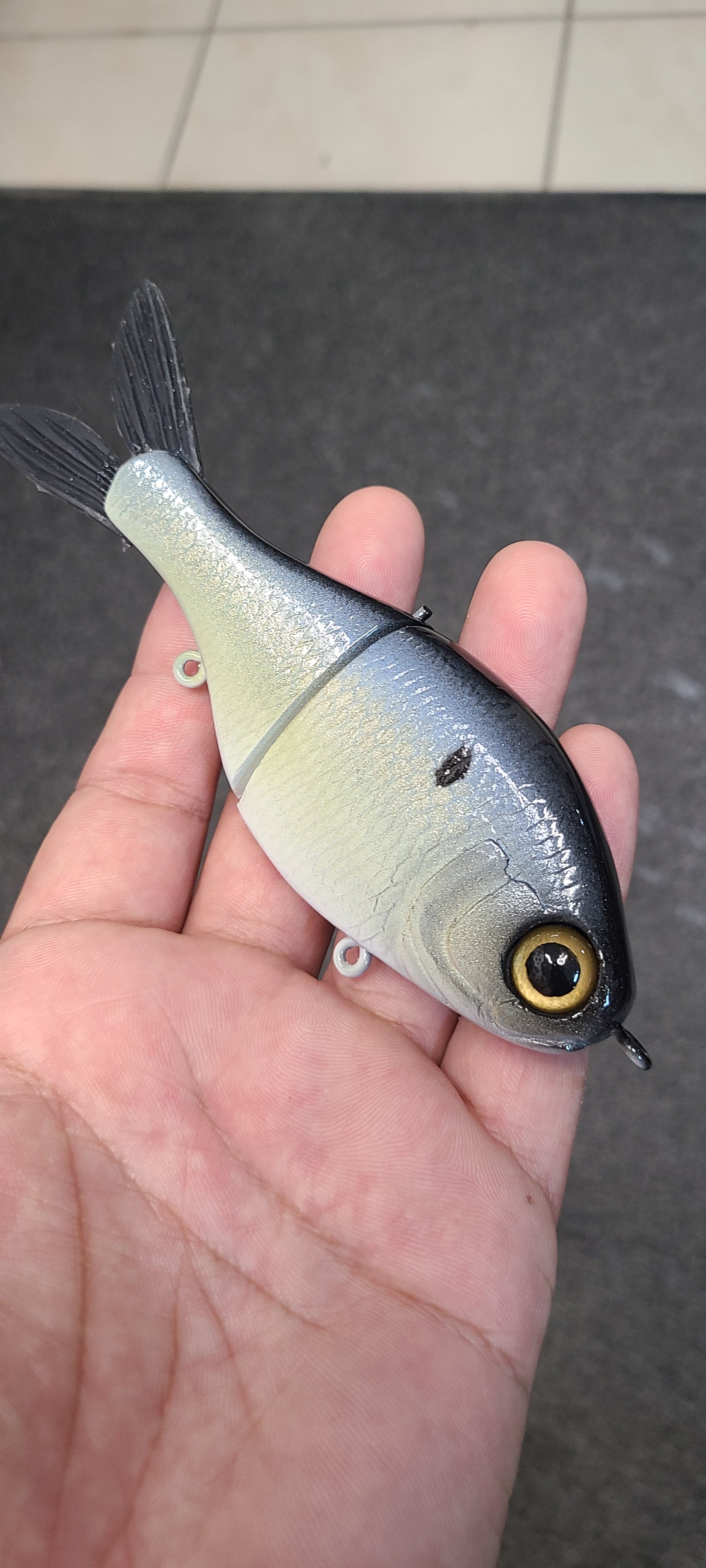 Junior shad- Threadfin