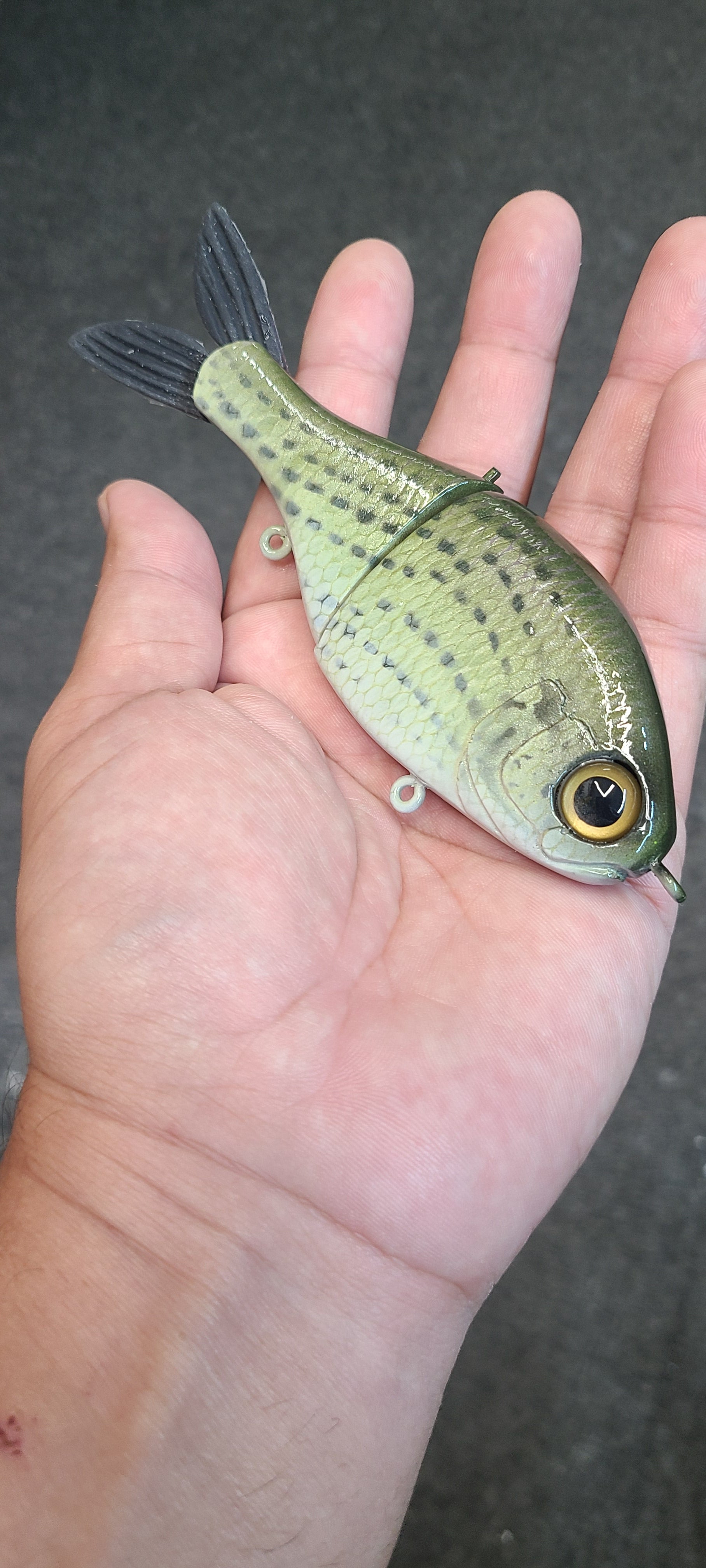Jr Shad - Yellow bass