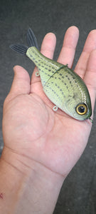 Jr Shad - Yellow bass