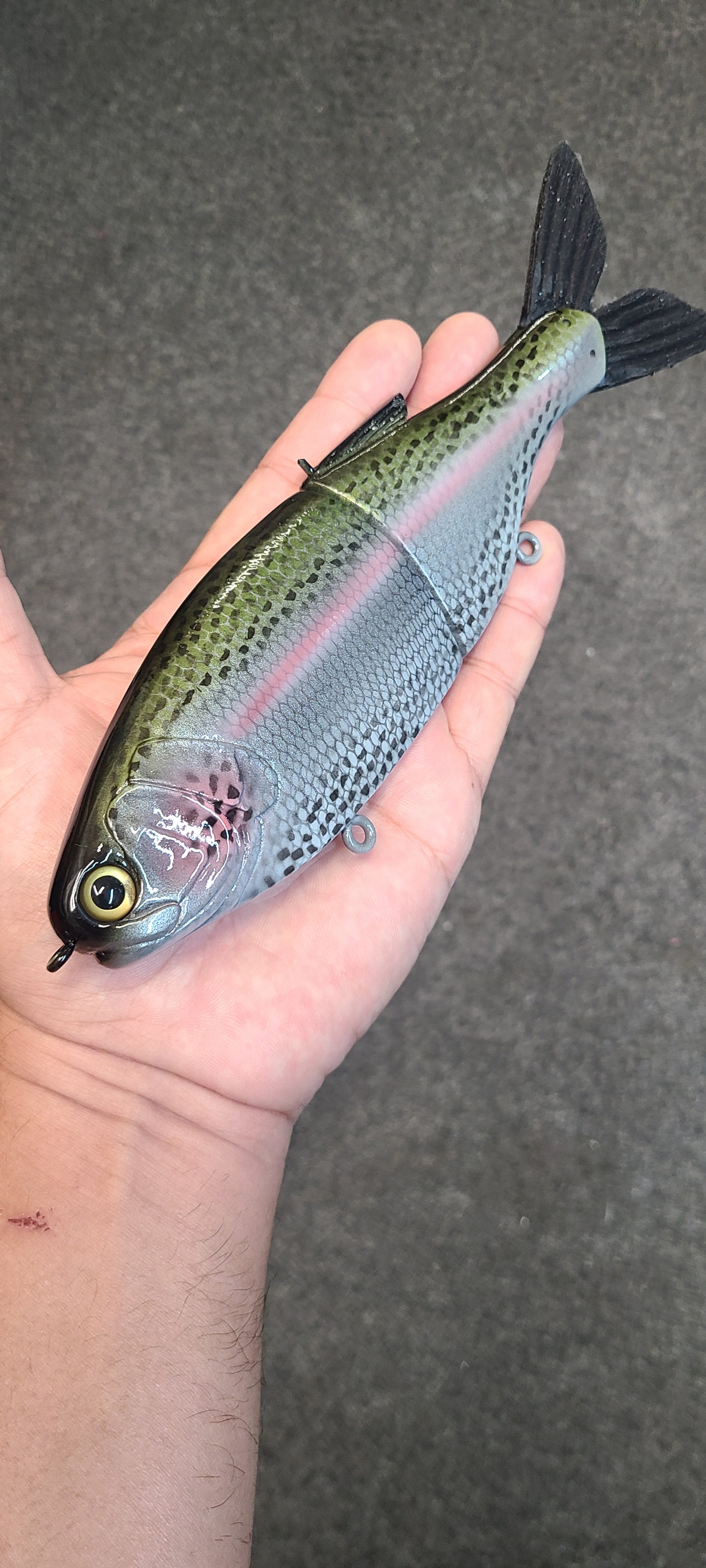 10 inch Shad- Trout