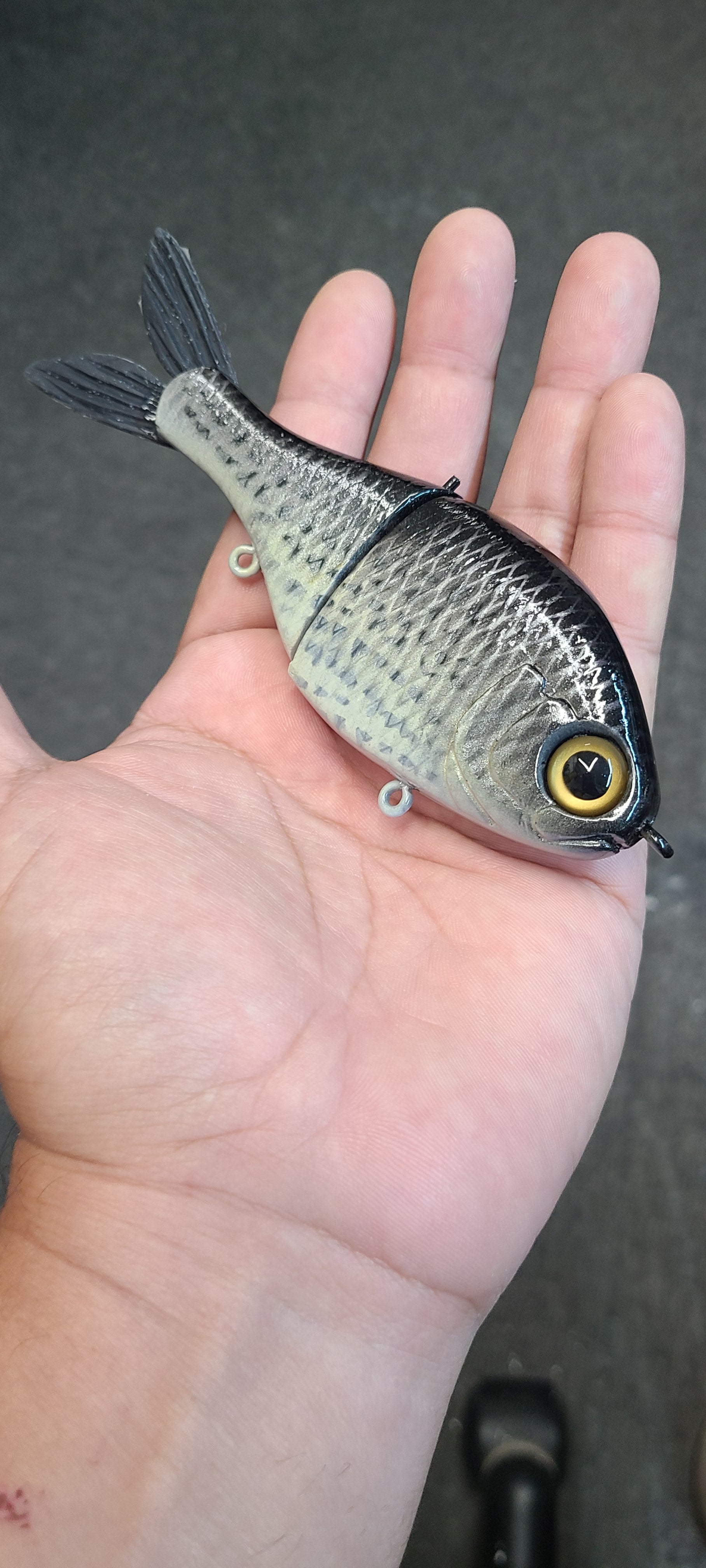 Jr Shad- Crappie