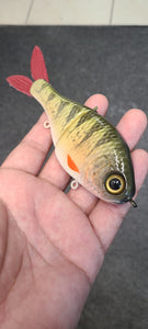 Junior shad-Perch
