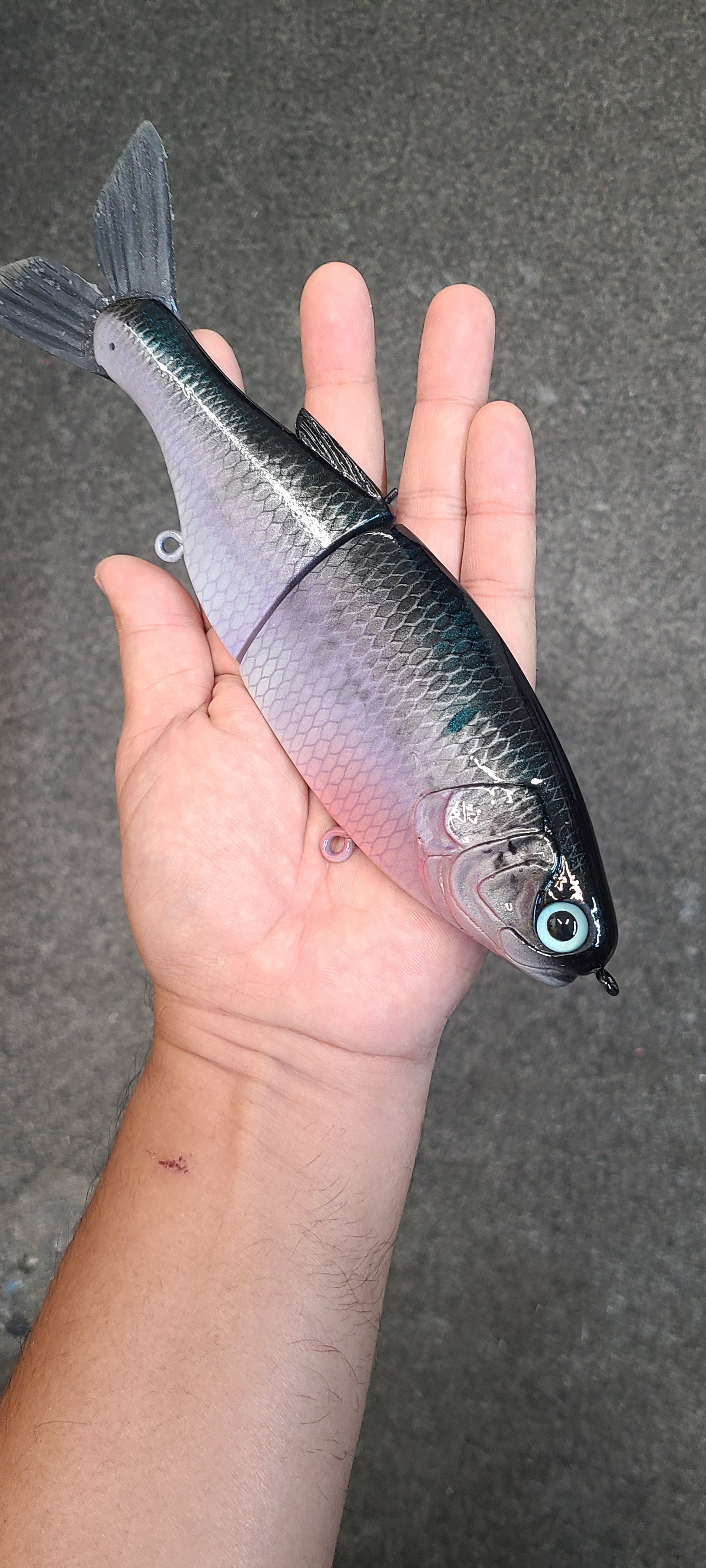 10 inch Shad- Dark knight