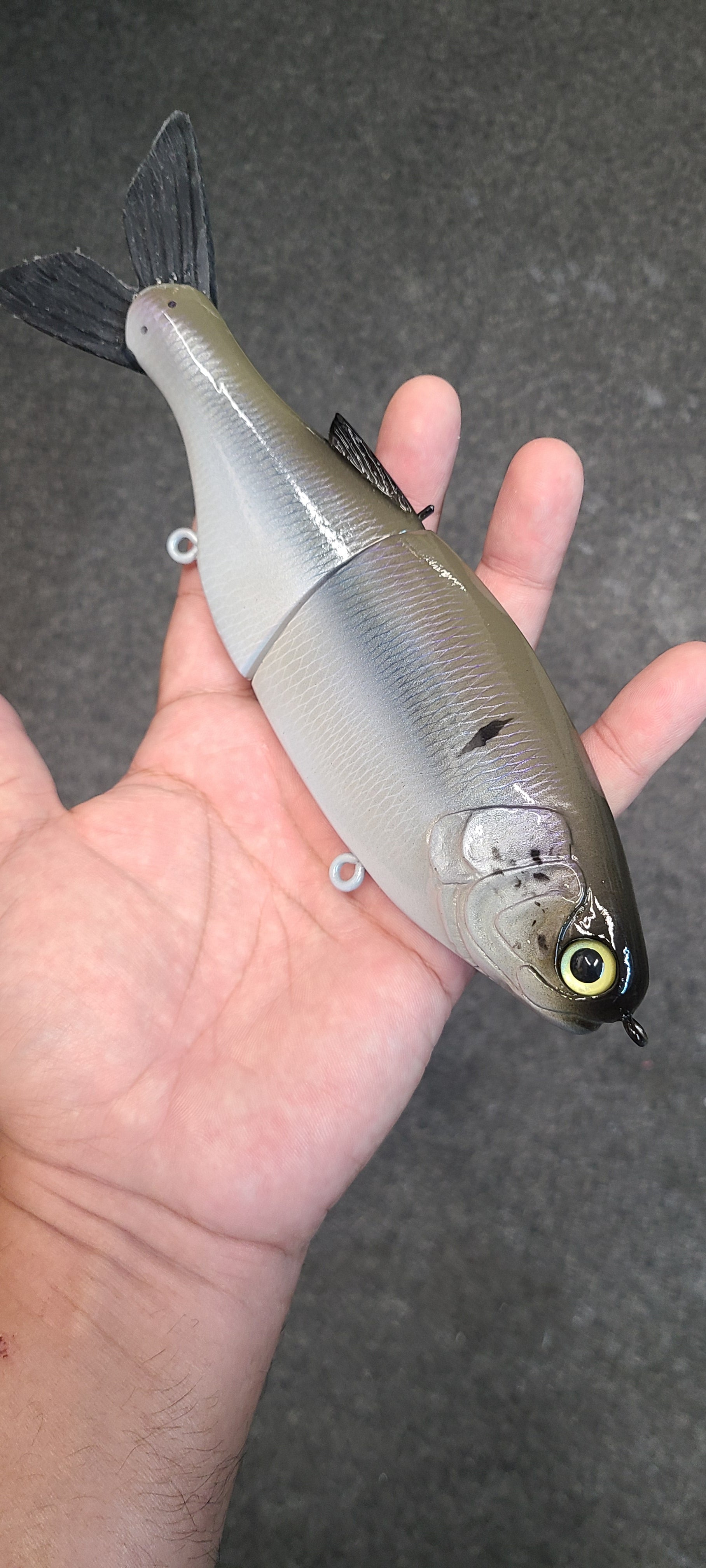 10 inch Shad-Olive back